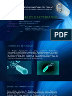 Flagelos Bacterianos