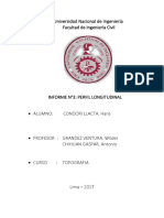 Informe 3 Perfil Longitudinal