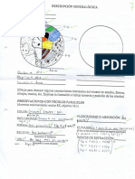 Ejemplo Descripcion Optica