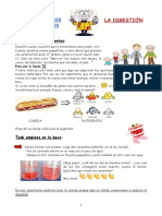 La Clase de Los Experimentos - La Digestion