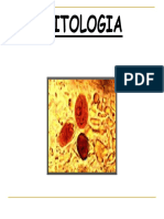 Parasitologia 1.pdf