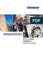 cb_carbonate_reservoirs_07os003 (1).pdf