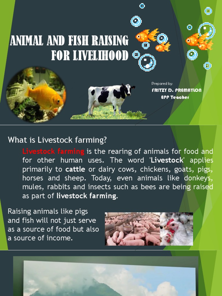 Animal and Fish Raising for Livelihood Livestock Pig