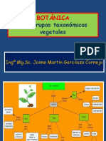 Grupos taxonómicos vegetales