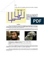 Evolución Humana.pdf