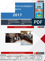 Acompañamiento pedagógico interno 2017