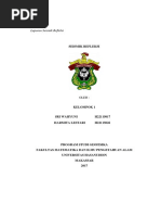 Download Laporan Lengkap Seismik Refleksi Klp 1 by Sri Wahyuni SN368647158 doc pdf