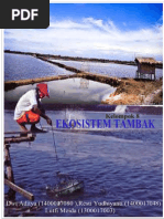 Download Makalah Ekohew Ekosistem Tambak by saidaturrizqa amalia SN368647266 doc pdf