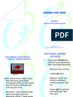 BOOKLET Anemia - PPT 1