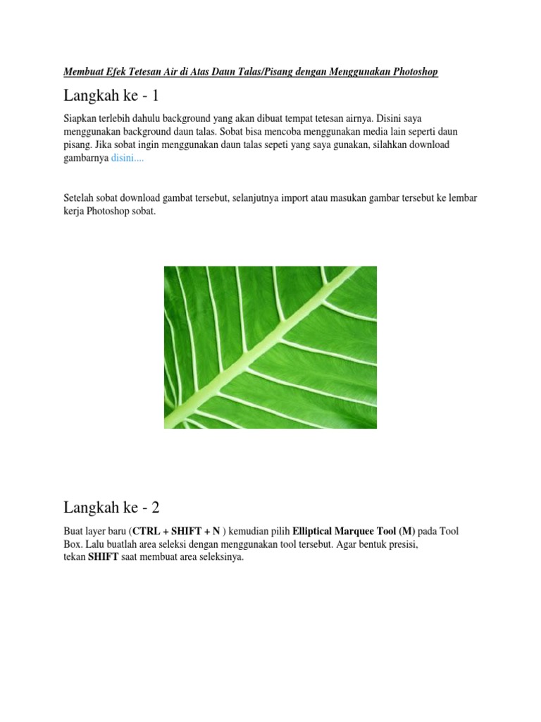 76 gambar air diatas daun talas Paling Keren Gambar Pixabay