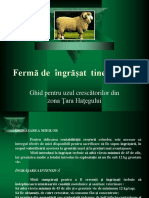 2868 - Prezentare Ovine