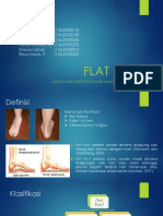 Flat Foot Fixed