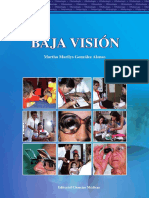 baja_vision_completo.pdf
