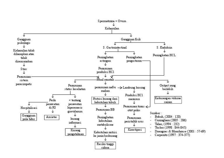 Pathway Hiperemesis Gravidarum dan Intranatal | PDF