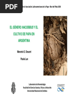 El Género Nacobbus Y El Cultivo de Papa en Argentina