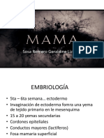 mama.pptx