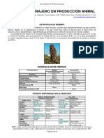 39-sorgo_forrajero_en_produccion_animal.pdf