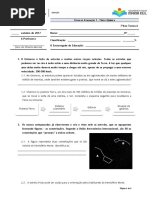 Ficha de Avaliação Nº 1