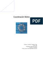 50478198-Coordinacion-Motriz.pdf