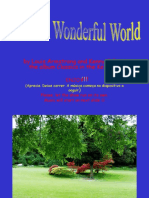 A Wonderful World amazing and interesting