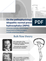 On The Pathophysiology of The Idiopathic Normal Pressure Hydrocephalus (iNPH)