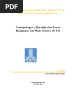 Livro AHPI - Antropologia e História dos Povos Indígenas