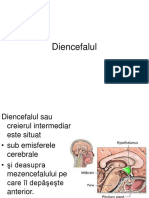 Diencefalul