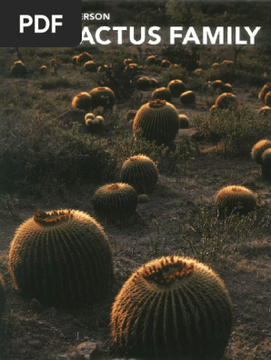 minal jain cycle race