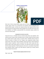 Budidaya Tanaman Jagung.pdf