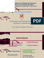Cystoisospora y Cyclospora