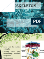 Fiks Kelompok 6 Biosel Sitoskeleton