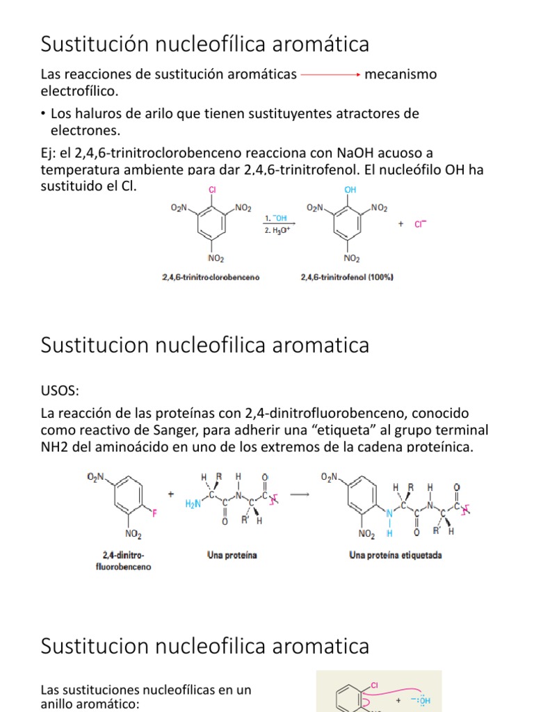 Sustitución Nucleofílica Aromática PDF