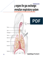 Module 5.2 (Dragged) 9