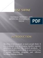 Natural Breeding and Artificial Insemination in Swine