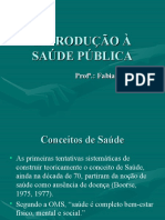 Introducao A Saude Publica