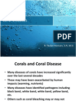Coral Diseases