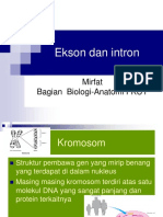 ekson intron (dr.mirfat).pdf