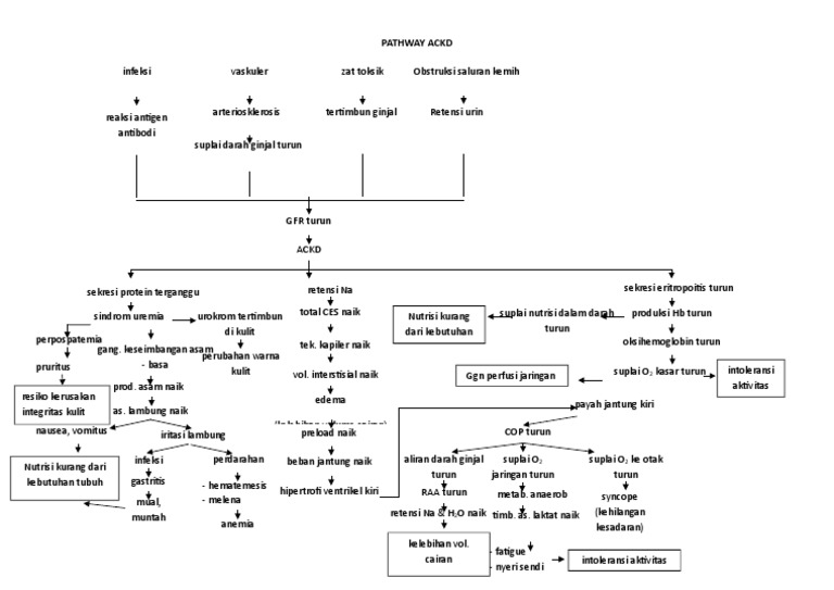 Pathway Diagnosa ACKD dan Komplikasinya | PDF