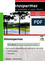 V 3gimnospermas 110518142423 Phpapp02