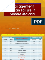 Management Organ Failure in Severe Malaria: Paul.N. Harijanto