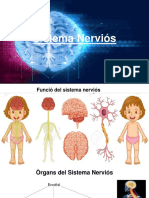 Presentacion Sistema Nervioso