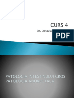 CURS-4-Bolile-intestinului-gros.pptx