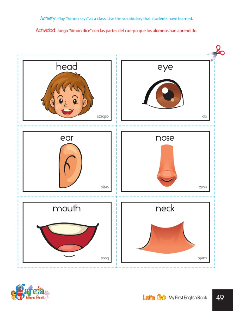 body-parts-flashcards-printable-free-printable-templates