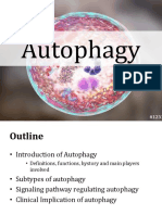 Autofagi