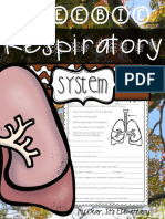 The Respiratory System - Freebie Guide