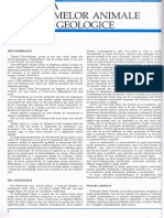 Atlas Zoologic PDF