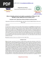 Effect of Salicylic Acid and Seed Weight on Germination of Wheat Cv Bcroshan Under Different Levels of Osmotic Stress