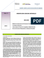 Diseño Curricular Orientacion Naturales28-03-12 PDF