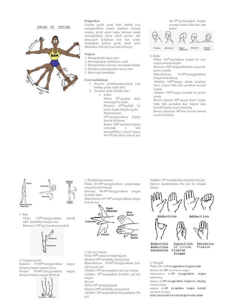 Rom Fix Pdf