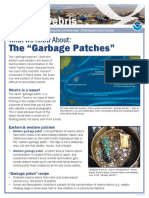 The "Garbage Patches": What We Know About